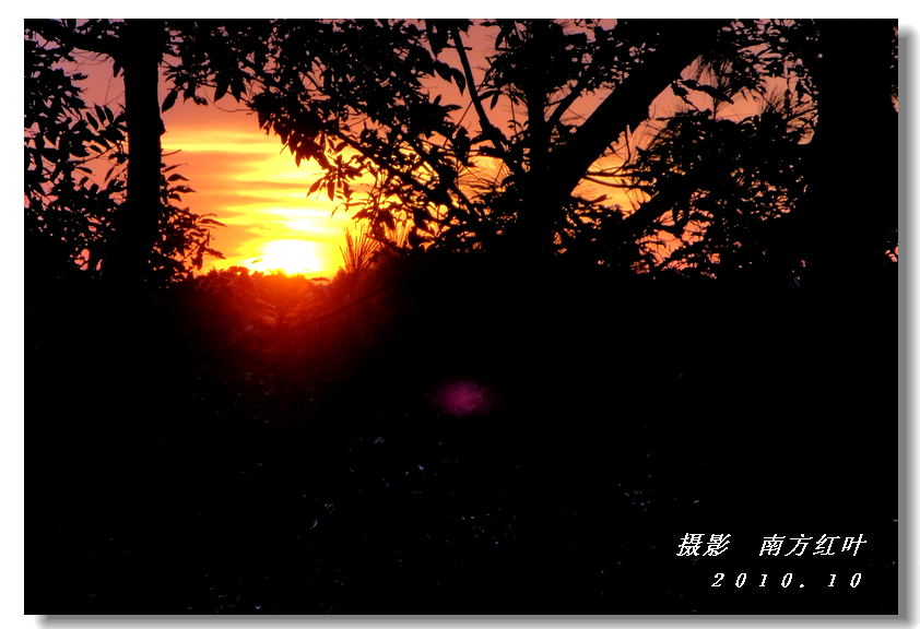 DSC03725.jpg