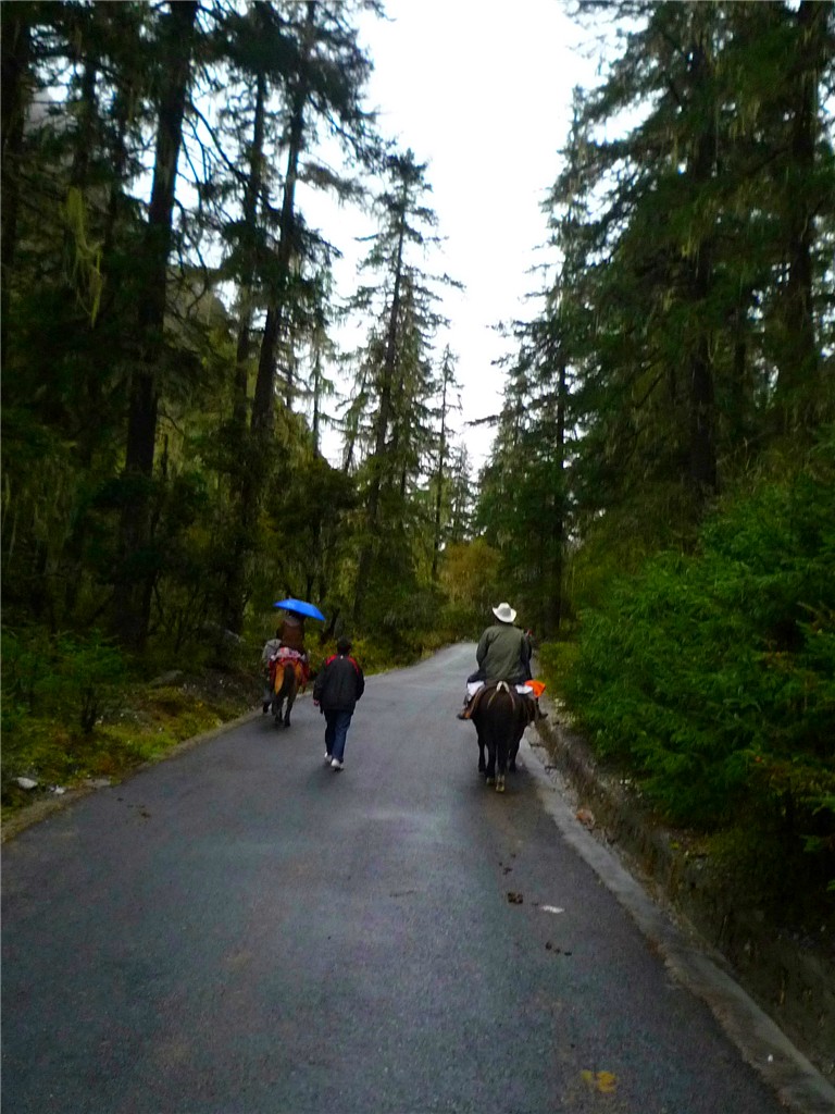 P1090429_.jpg