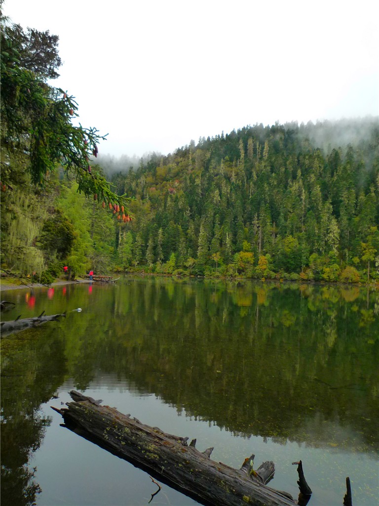 P1090451_.jpg