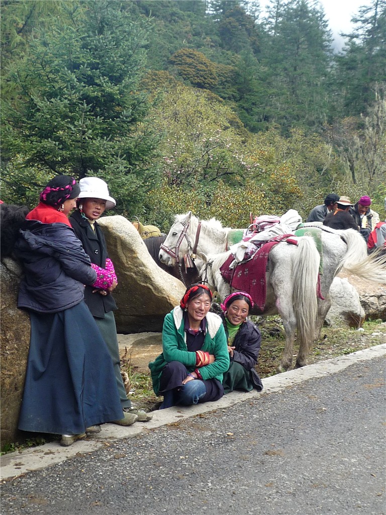 P1090665_.jpg