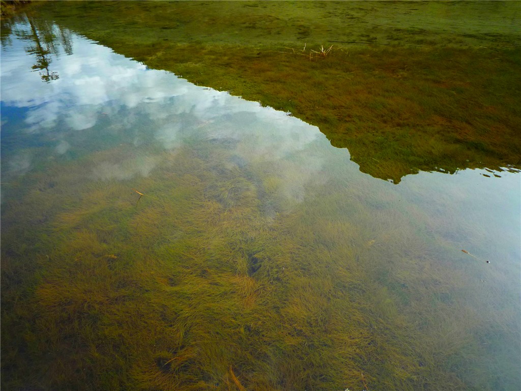 P1090791_.jpg