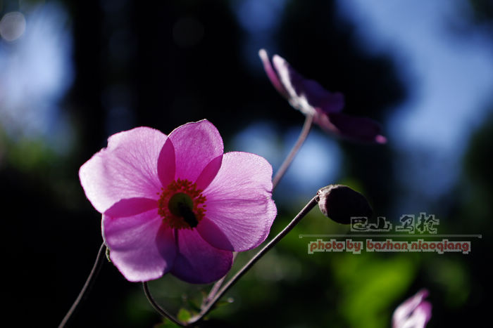 IMGP5399.jpg