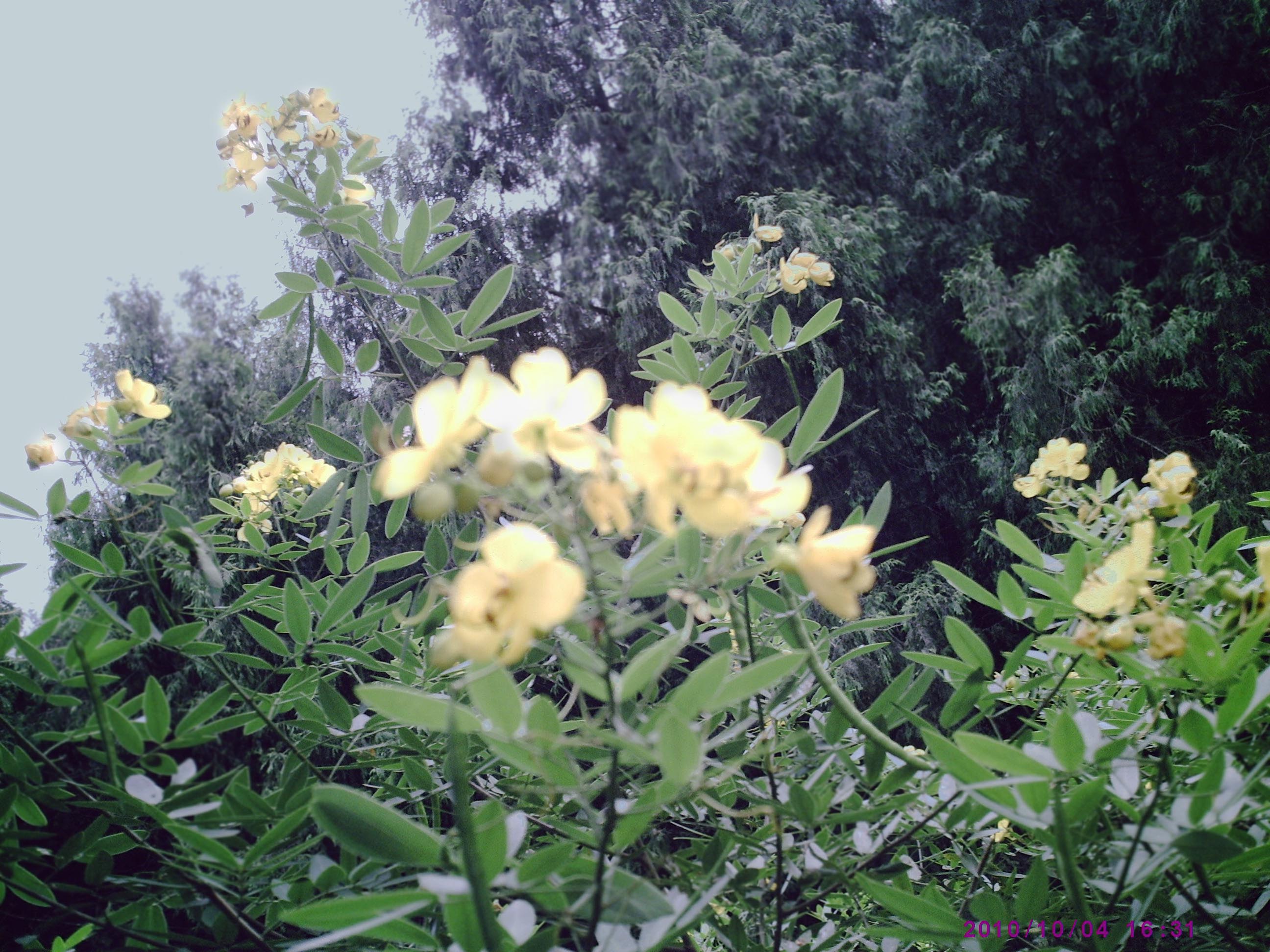 PIC00010.JPG
