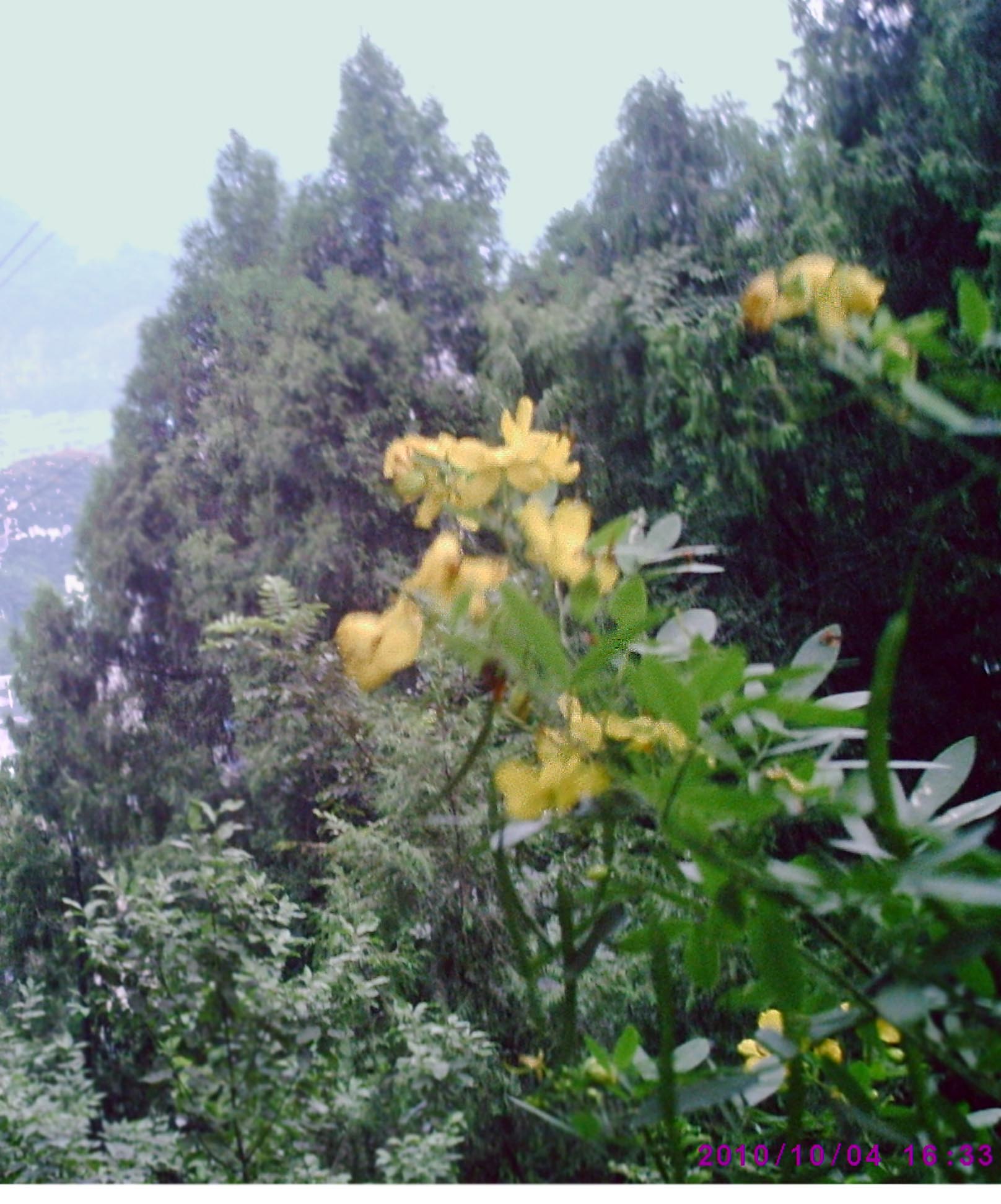 PIC00012.JPG