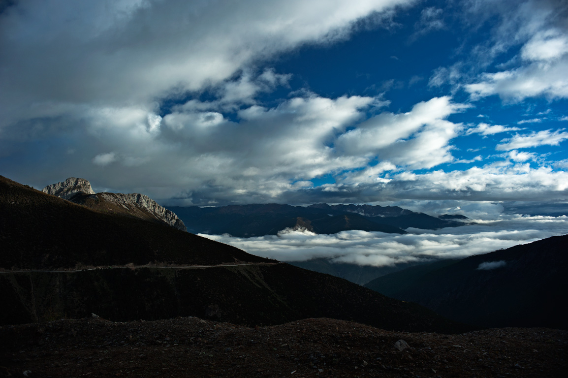 _DSC8645.jpg