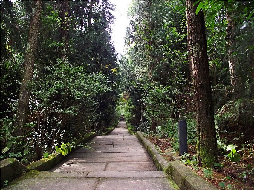 DSCF9158__conew1.jpg