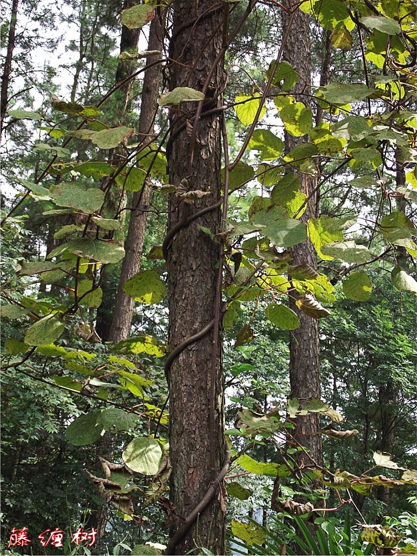 DSCF9278__conew1.jpg