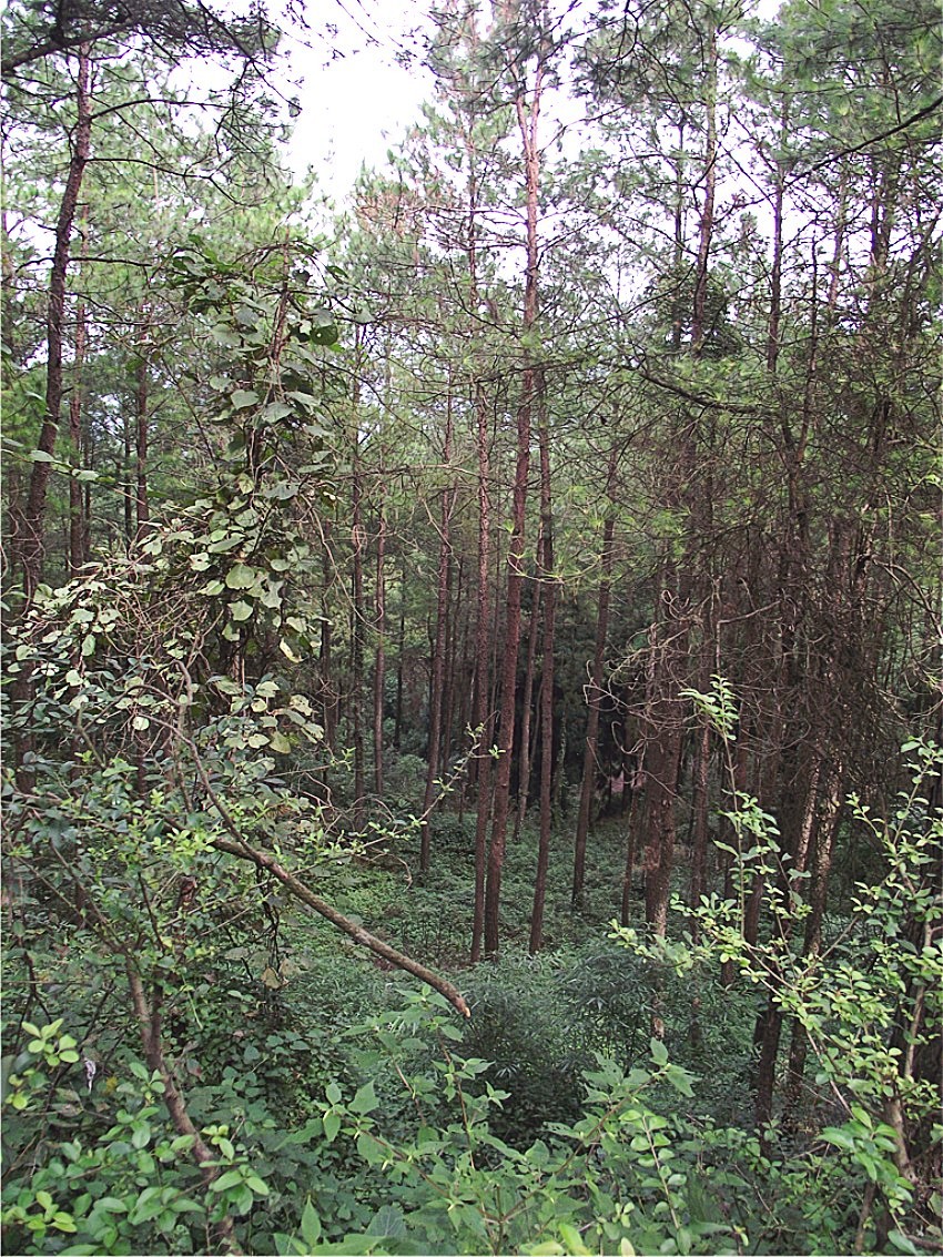 DSCF9284__conew1.jpg