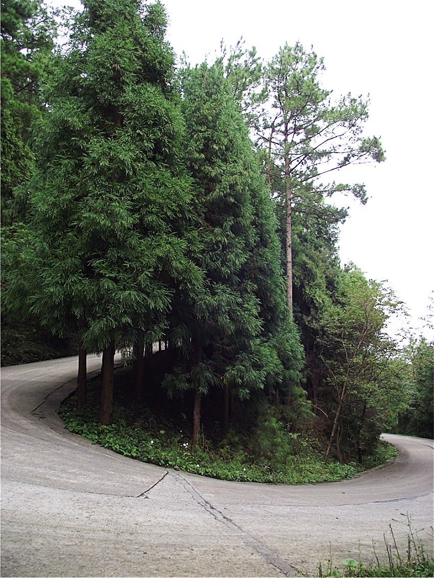 DSCF9287__conew1.jpg