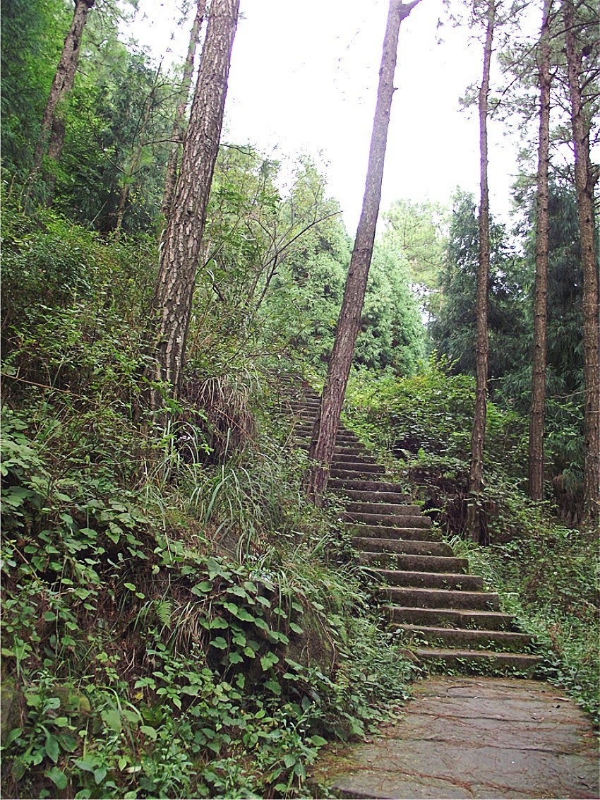 DSCF9288__conew1.jpg