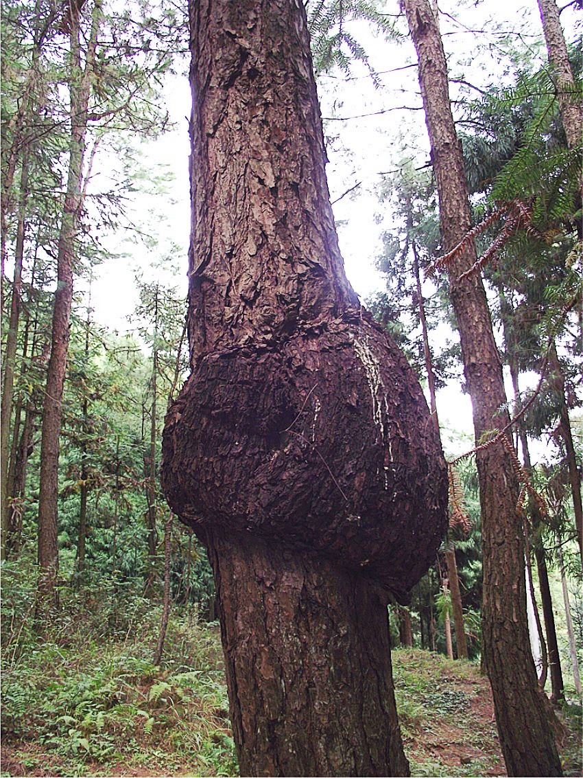 DSCF9292__conew1.jpg
