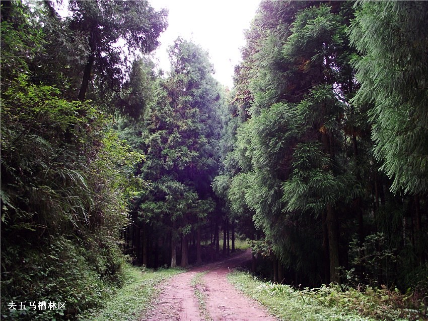 DSCF9321__conew1.jpg