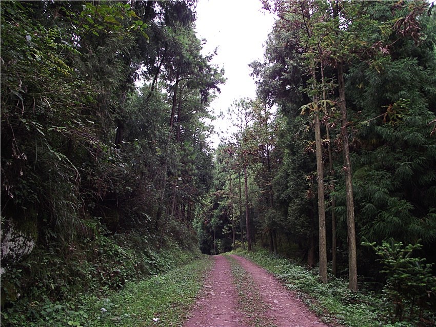 DSCF9323__conew1.jpg