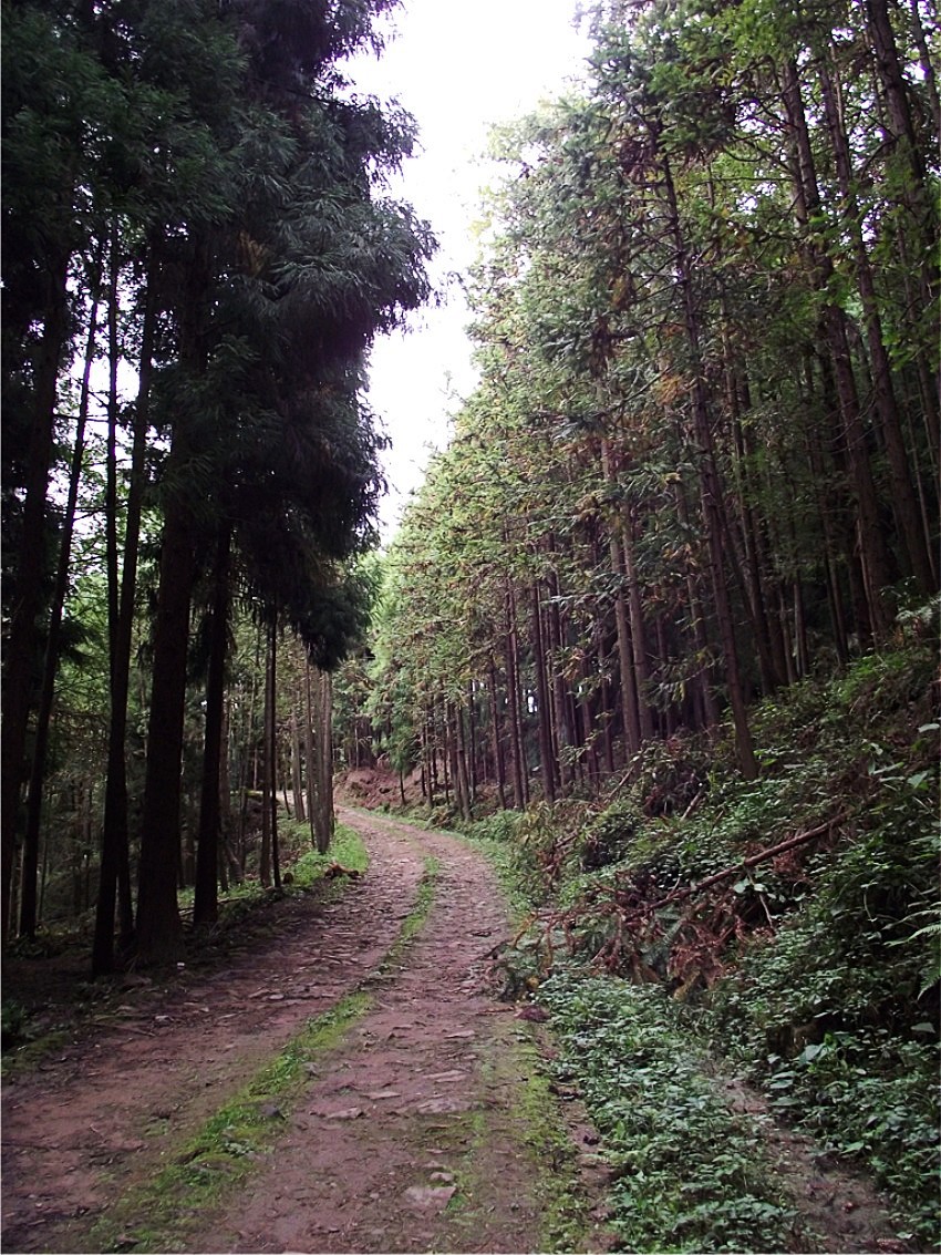 DSCF9357__conew1.jpg