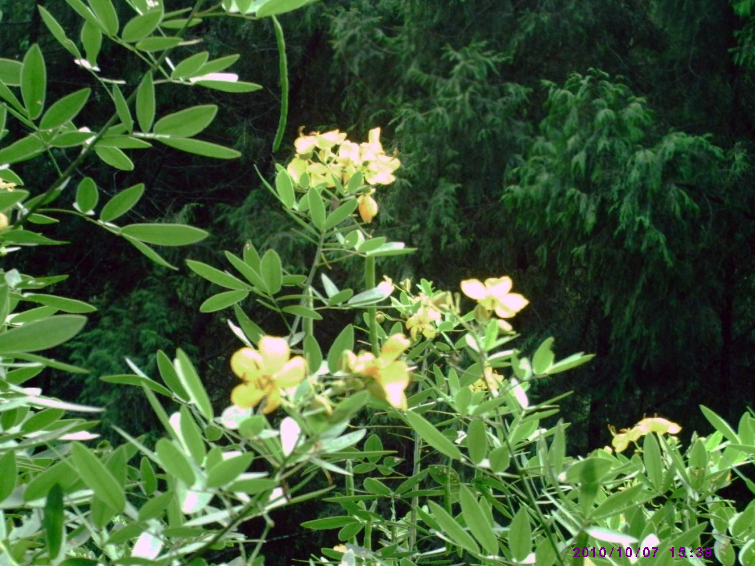 PIC00002.JPG