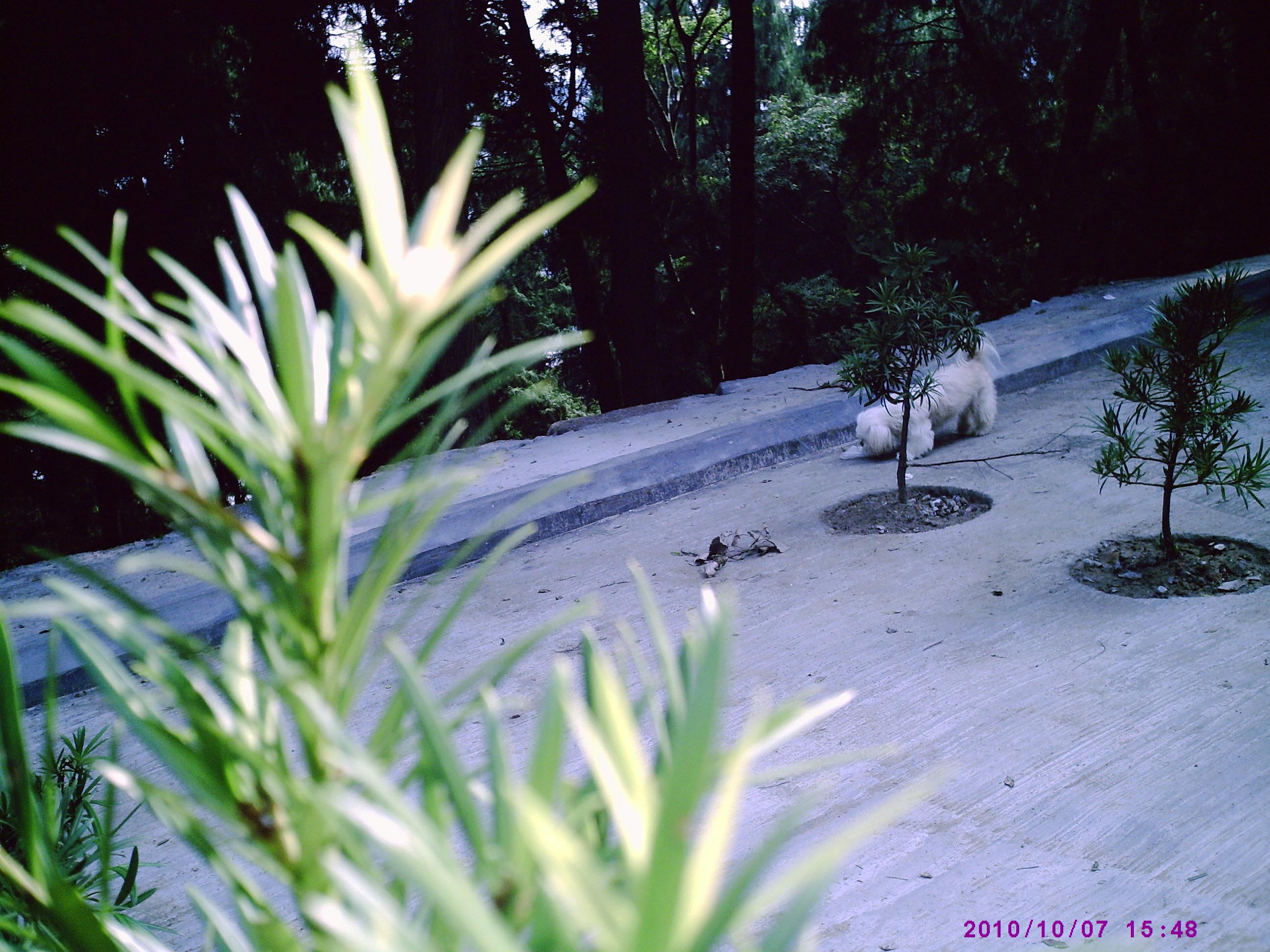 PIC00007.JPG