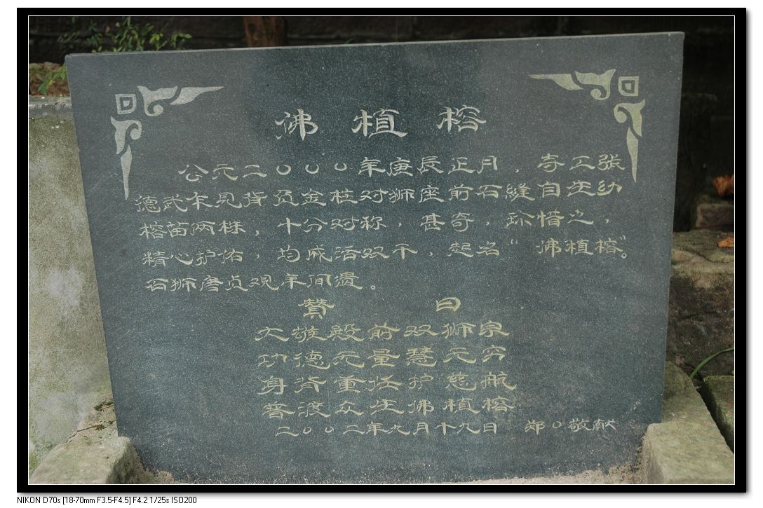2010109Ƭ 083.jpg