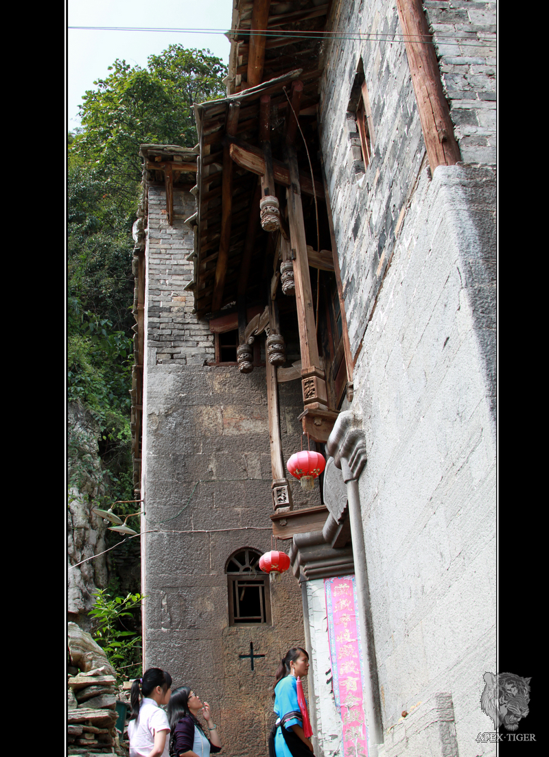 IMG_4356Ƭ.jpg