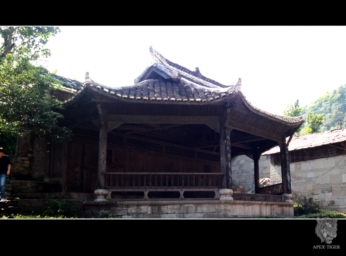 IMG_4383Ƭ.jpg