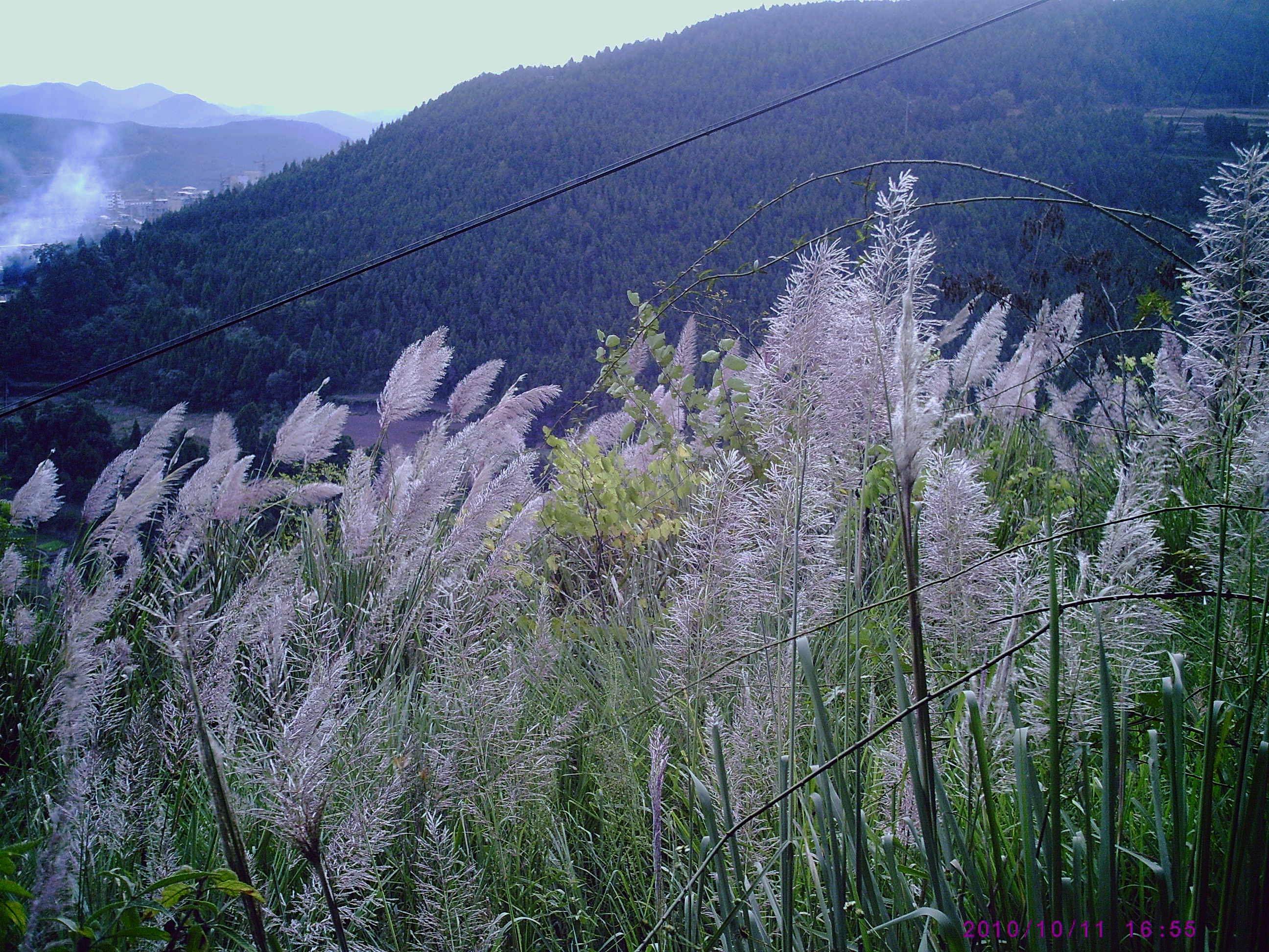 PIC00010.JPG