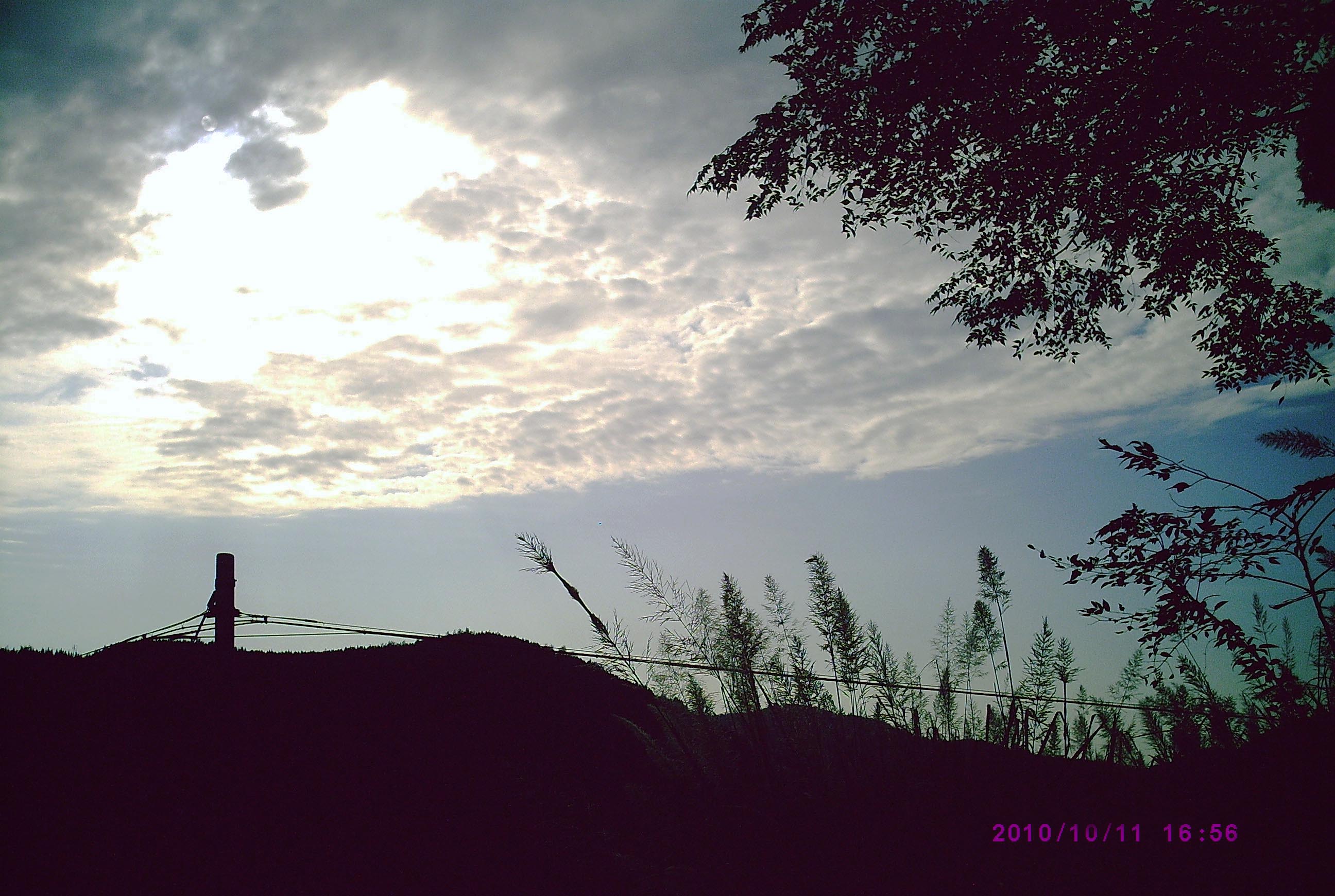 PIC00011.JPG