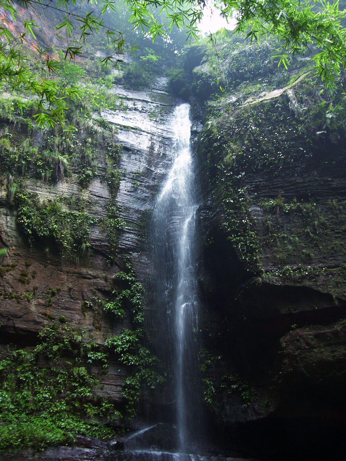 20080121_1f0ef06516262325a5cdGjgzFBcPJBl4.jpg