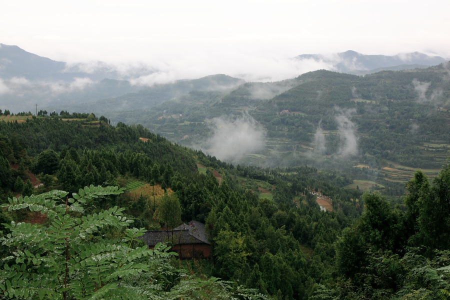 06.JPG