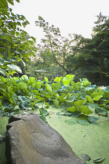 _MG_2694.jpg