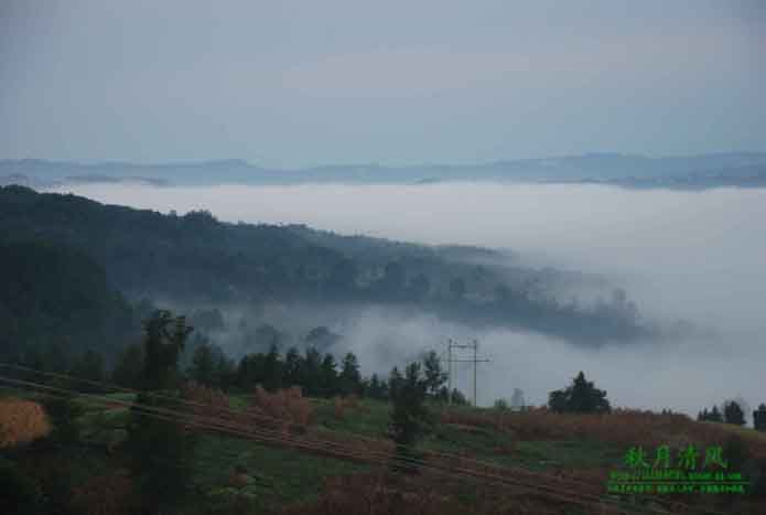 DSC_0130.jpg