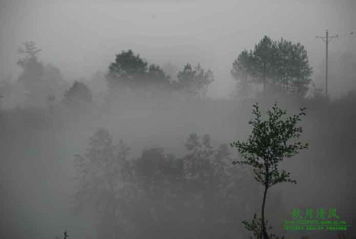 DSC_0157.jpg