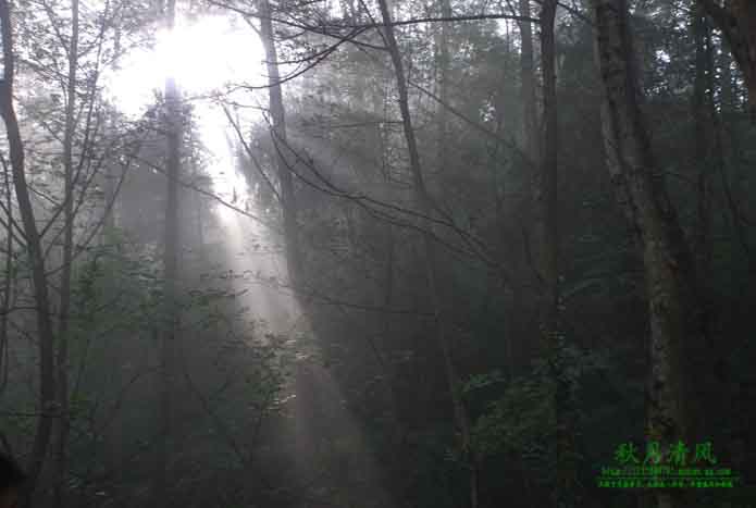 DSC_0211.jpg