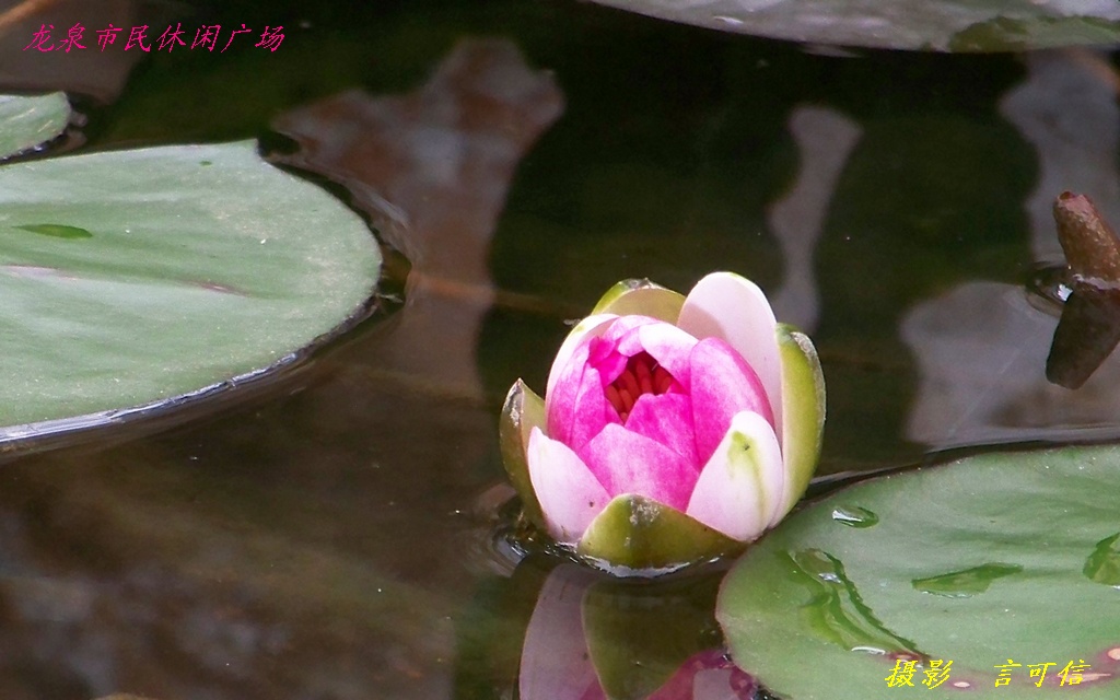 100_1019.jpg