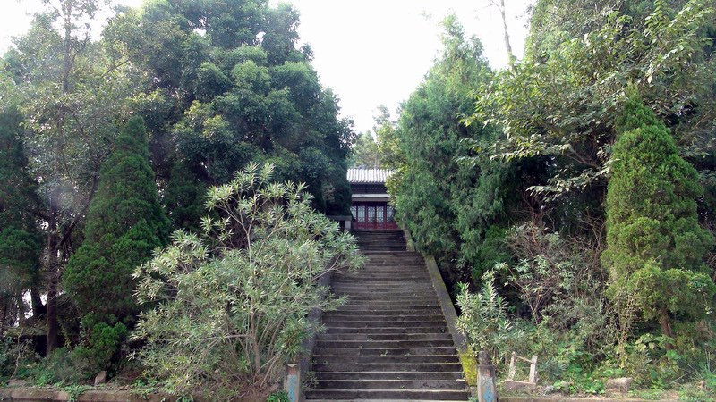 DSC01265.JPG