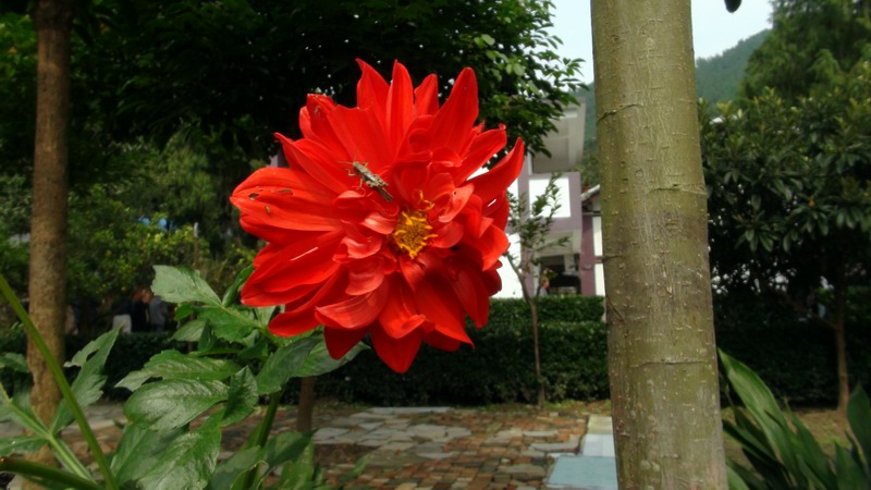 DSC01445.JPG