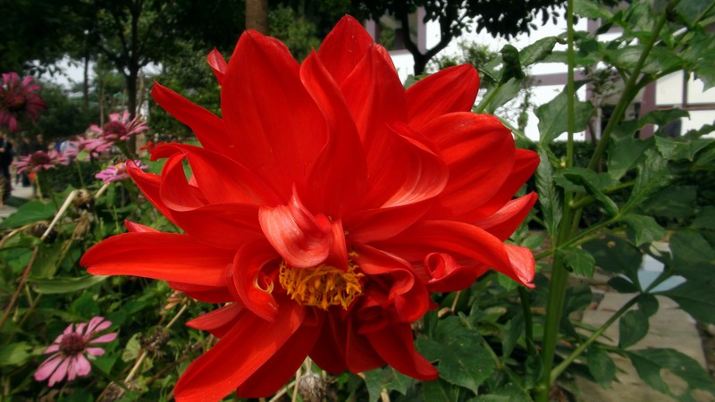 DSC01444.JPG