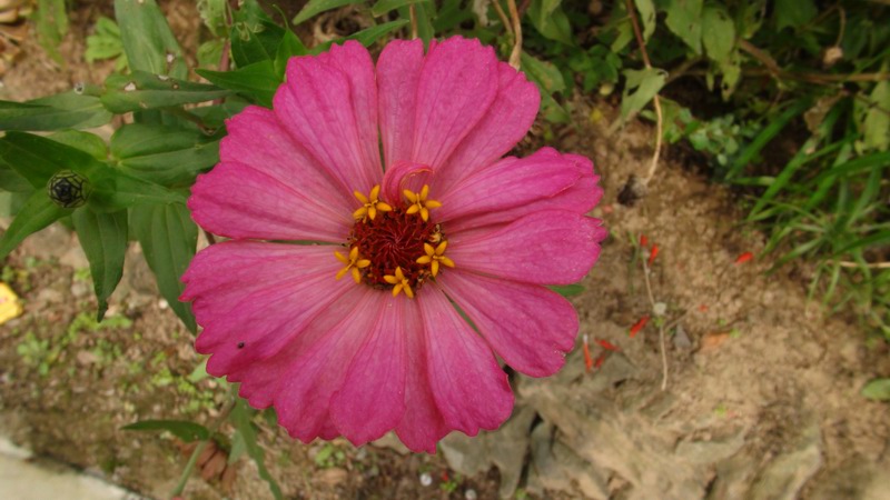 DSC01448.JPG