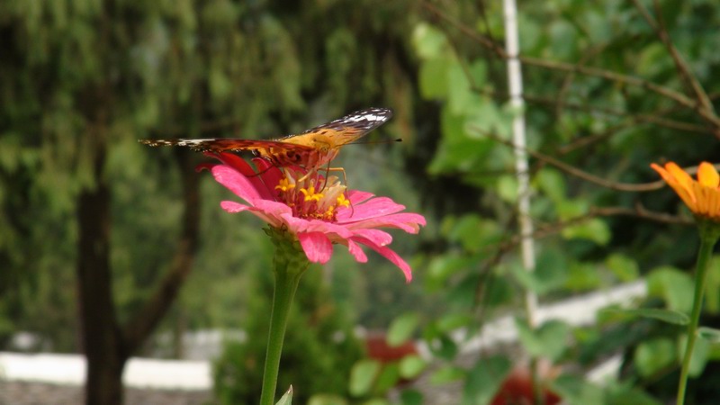 DSC01478.JPG