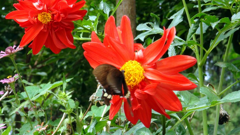 DSC01489.JPG