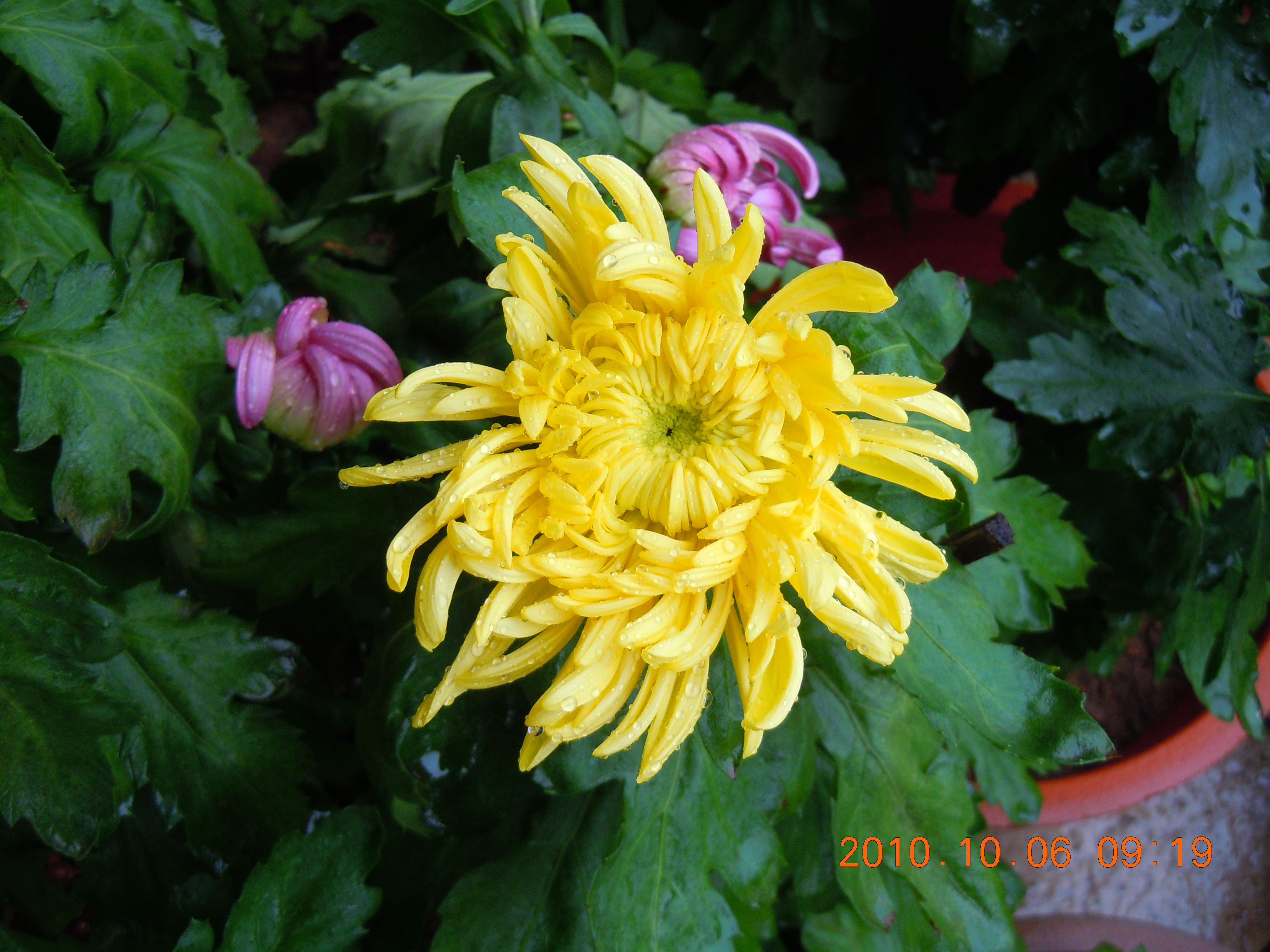 DSCN3143.JPG