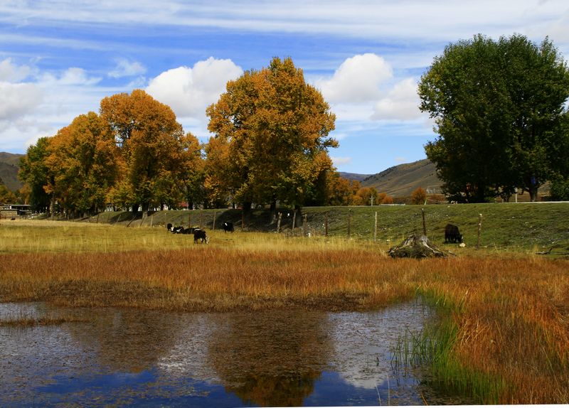 2010-10-15-17¶šɷ 132.jpg