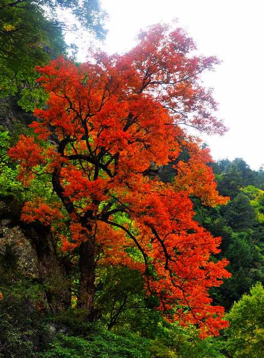 CSC_0377.jpg