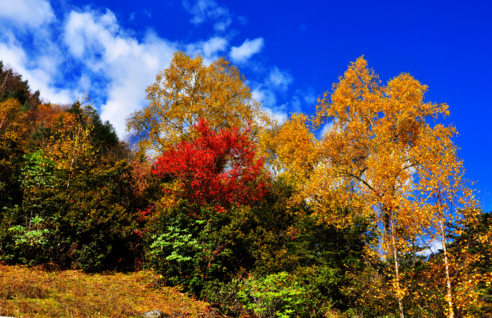 CSC_0543.jpg