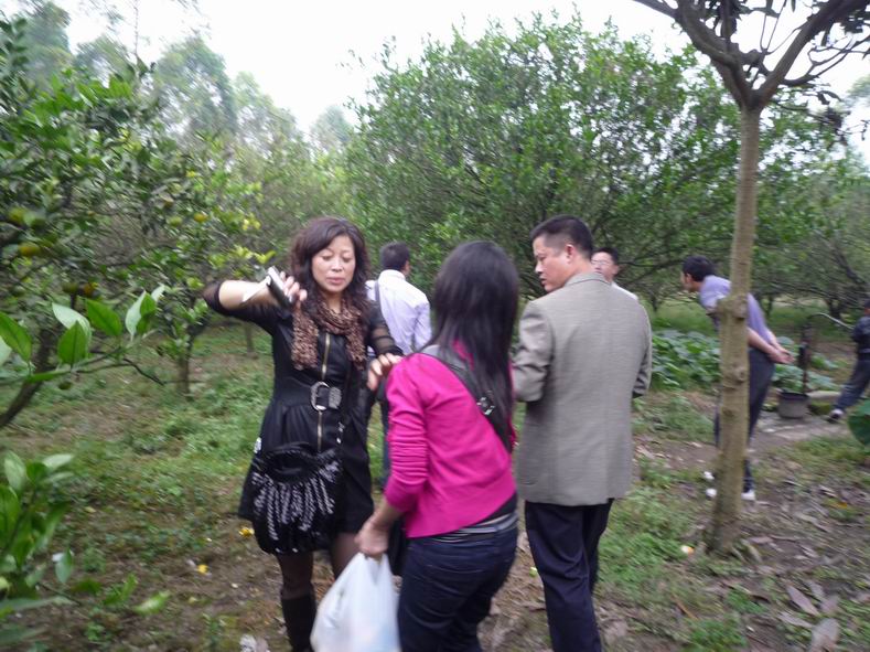 P1140201.JPG