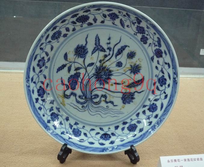 P1040534_.jpg