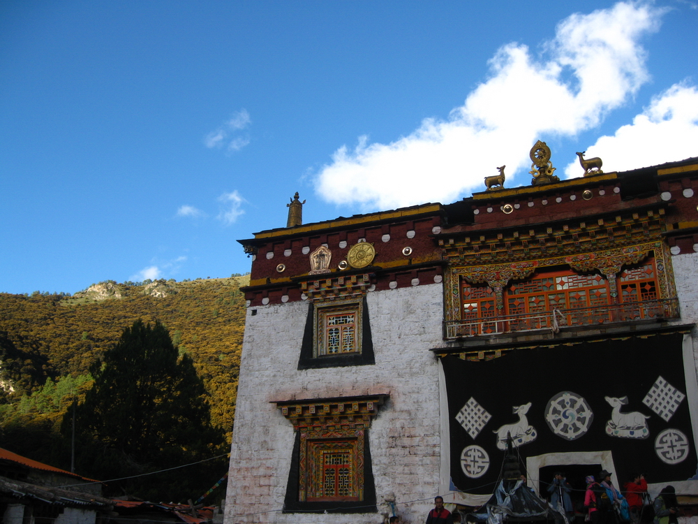 IMG_7421.JPG
