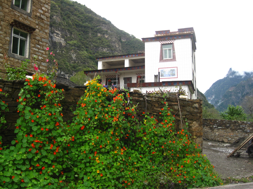 IMG_7809.JPG