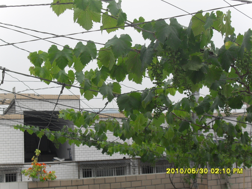 SDC12892.JPG