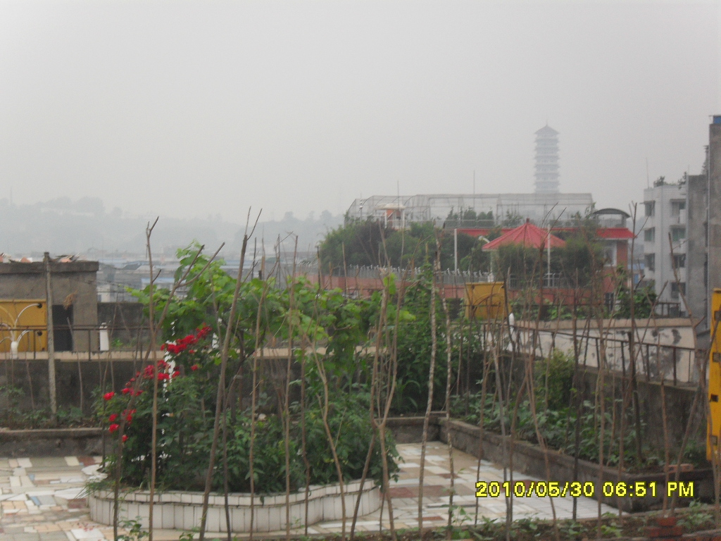 SDC12951.JPG