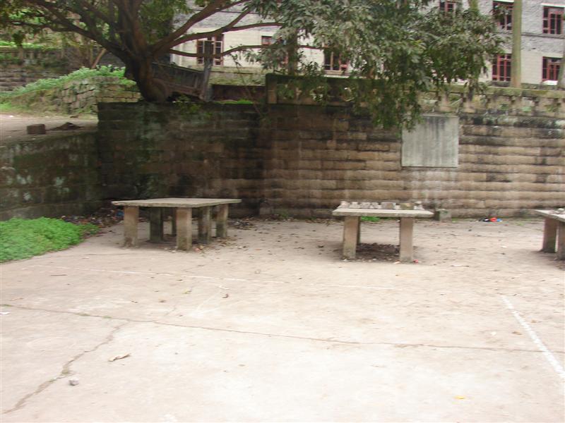 DSC03411 (Medium).JPG