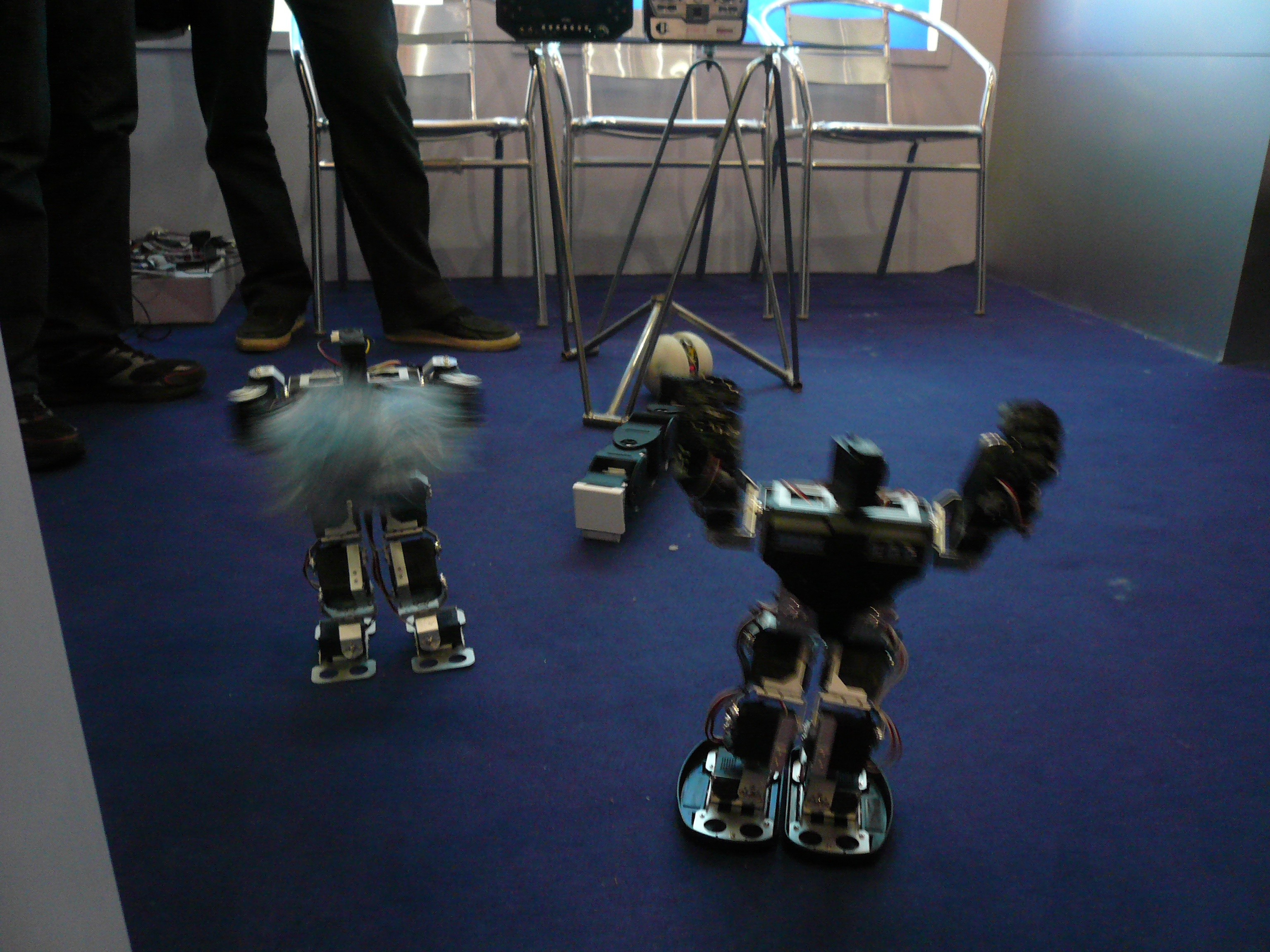 P1120951.JPG